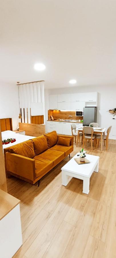 Selvia Apartament 티라나 외부 사진